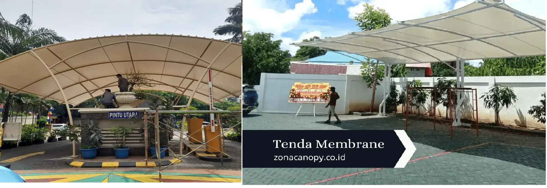 Canopy Membrane kelapadua